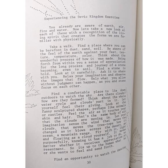 The Fairy Kingdom: A Curriculum Guide 1979 - Shereen Waterman Stede Barber - Picture 7 of 10